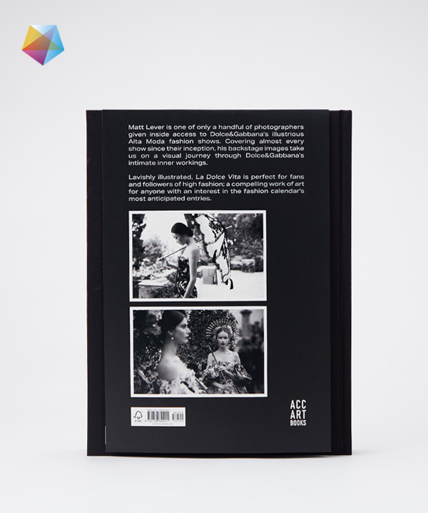 works-官网头图 -Artron Print-La Dolce Vita-背面