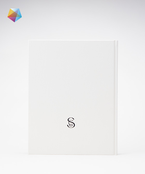 works-官网头图 -Artron Print-Saltwater背面