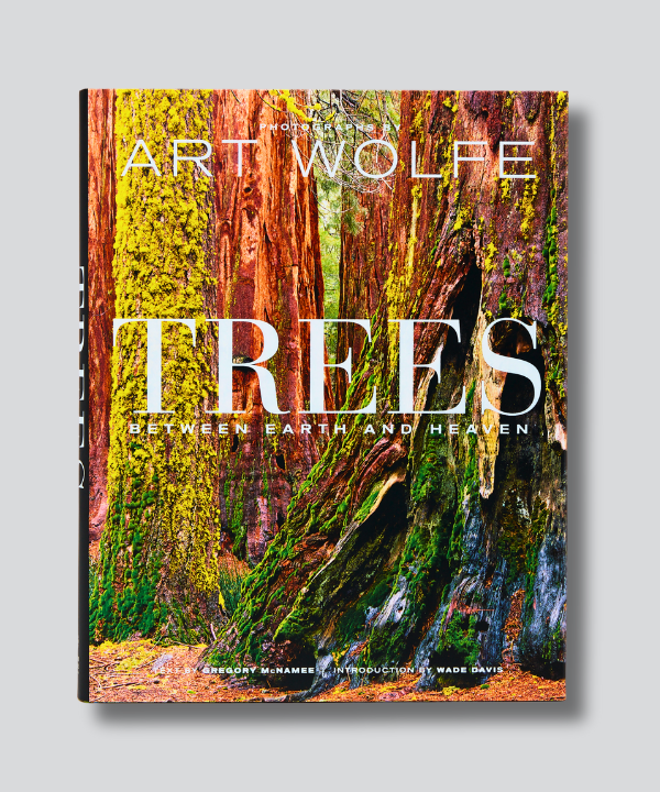 works-官网封面1-ART WOLF Trees